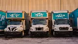 Swamp Rabbit Moving - Columbia