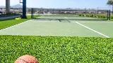 Alpha Turf Inc
