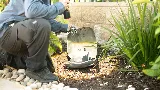 Good Pest Management photo 8