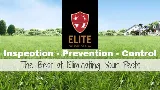 Elite Pest Solutions, LLC