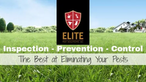 Elite Pest Solutions, LLC in Madison