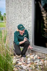 Plunkett's Pest Control photo 6