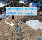 GottaGo Pest Control photo 5