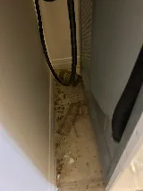 Elogyx Pest Solutions Inc. photo 4