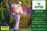 Kopex Pest Control photo 7