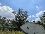Creech Landscape photo 4
