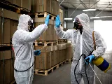Jersey City Elite Pest Control photo 6