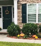 Jay Taylor Exterminating Co., Inc. photo 5