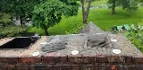 NJ Pest Control photo 7