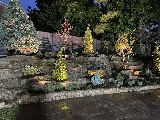 Anthony & Sons Landscapers photo 8