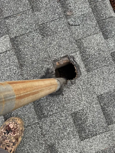 Quality pest control gta Richmond hill photo 1
