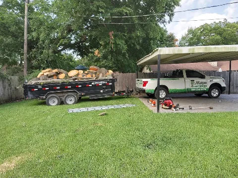 GMaya Tree Service & Landscaping LLC in Waco