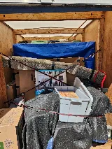 Friendly Movers LLC photo 4