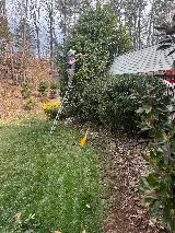 Lawn & Order Landscaping photo 4