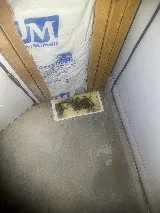Afco Pest Control photo 5