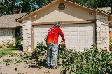 Brents Tree Service photo 4