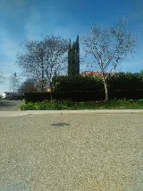 McCaffrey Homes photo 8