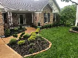 Bloom Lawn and Lights