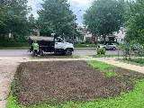Perfect Landscape Tree & Services Inc photo 6