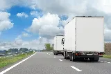 Cruise Movers
