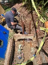 Paws Plumbing photo 3