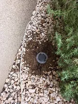 Bulwark Exterminating photo 5