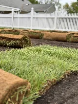 Rolax Landscaping and Tree Services photo 6