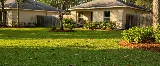Solve Pest Pros photo 7