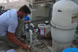 ProTouch Pool Services photo 8