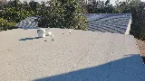 Roofing Specialists of San Diego photo 8