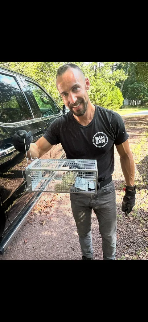 BAMBAM Pest Control in Atlantic City