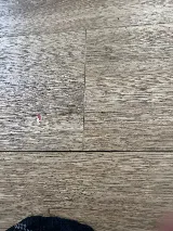 Flooring 101 (G & S Carpet) photo 6