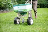 Nutri-Lawn St. John's