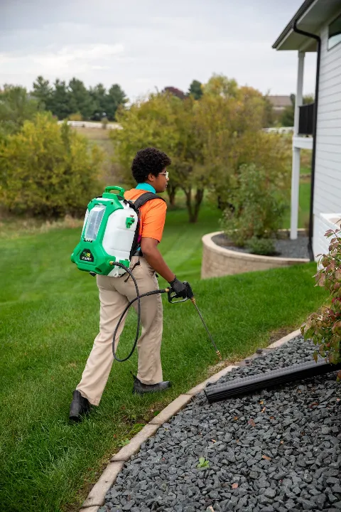 Miller Pest Solutions photo 1