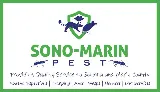 Sono-Marin Pest photo 7