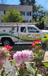 Better Termite & Pest Control photo 6