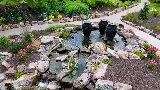 Knob Hill Landscape Co. photo 2