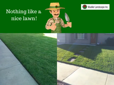 Mueller Landscape Inc in El Cajon