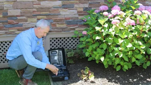 Better Termite & Pest Control in Alexandria