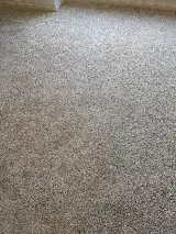 Olive Tree Flooring photo 4