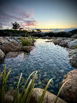Flow Landscape/Flow Aquascapes photo 3