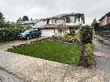 Pacific Paradise Landscaping photo 2