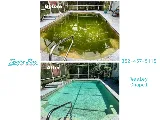 Tampa Bay Pool Service photo 5
