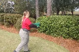 Palmetto Exterminators photo 8
