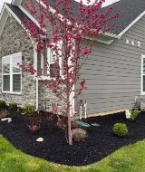 Yardscapes Lawn and Landscaping Professionals LLC photo 7