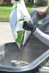 Quality Cut Lawn Care photo 8
