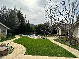 SoCal Landscape and Trees photo 8