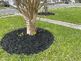 A Vision Landscaping, Lawn Care & Fences LLC photo 8