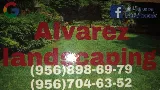 Alvarez landscaping