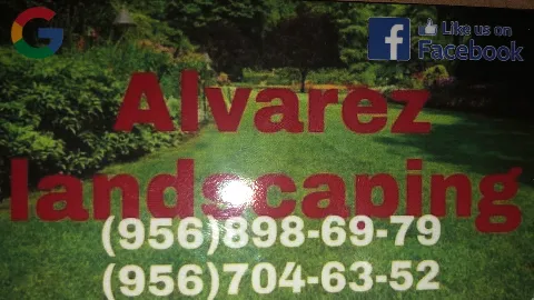 Alvarez landscaping photo 1